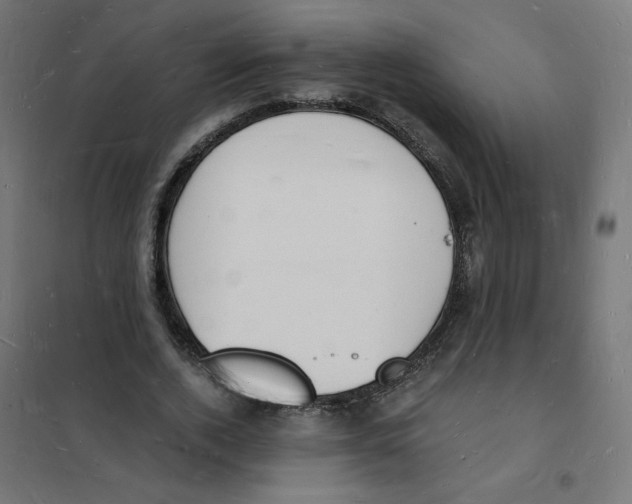 X0000101670728200808071044