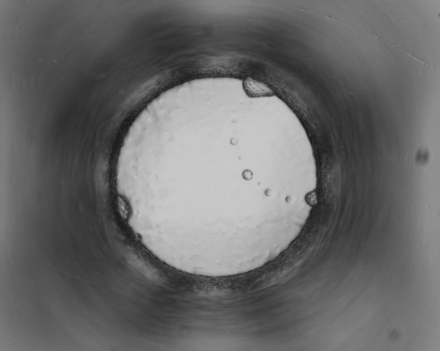 X0000101670729200808071044