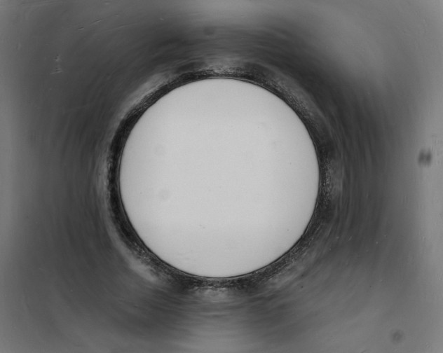 X0000101670730200808071044