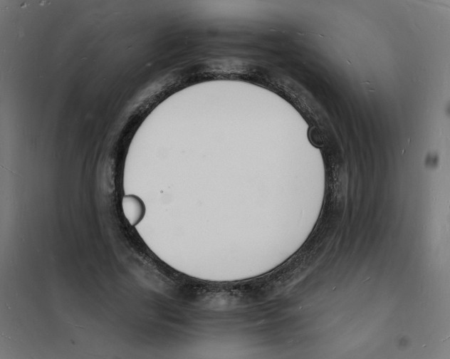 X0000101670731200808071044
