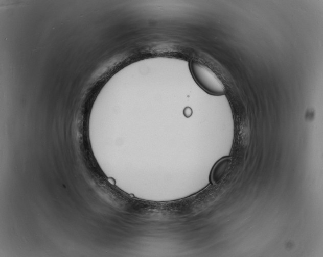 X0000101670732200808071044
