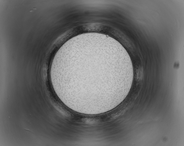 X0000101670733200808071044