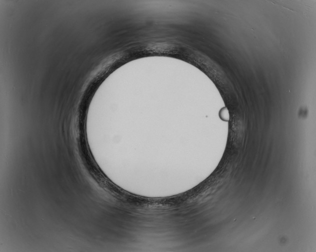 X0000101670734200808071044
