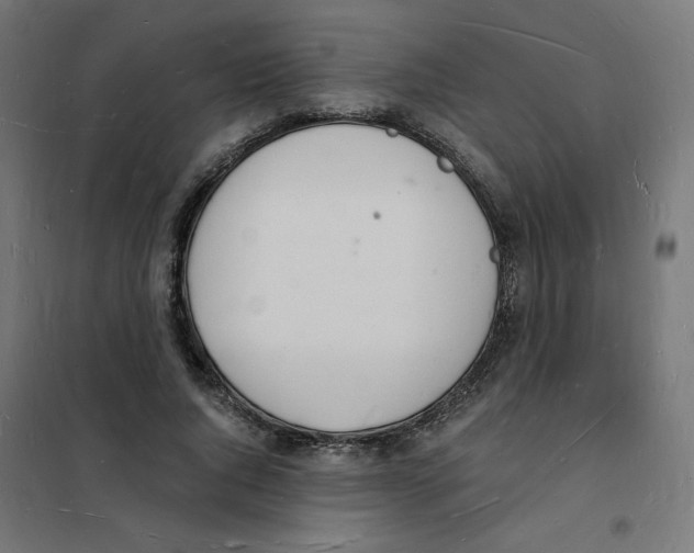 X0000101670736200808071044