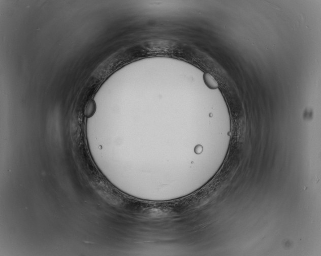 X0000101670737200808071044