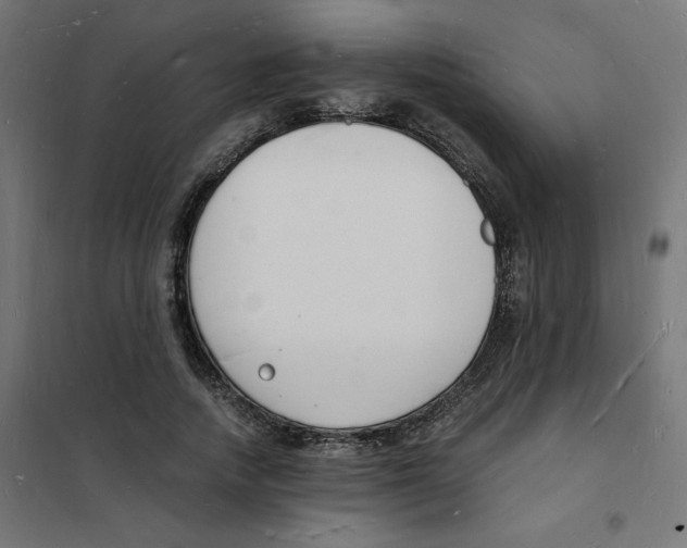 X0000101670738200808071044