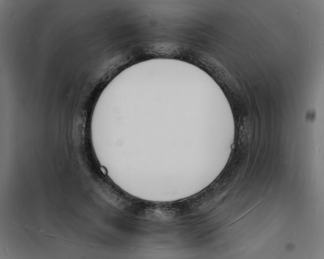 X0000101670739200808071044