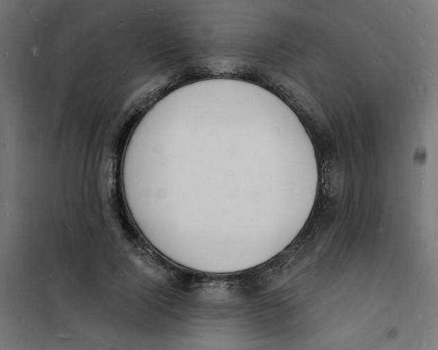 X0000101670740200808071044
