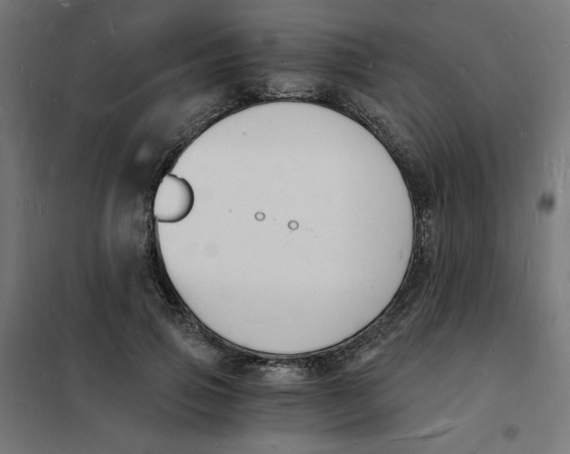 X0000101670741200808071044