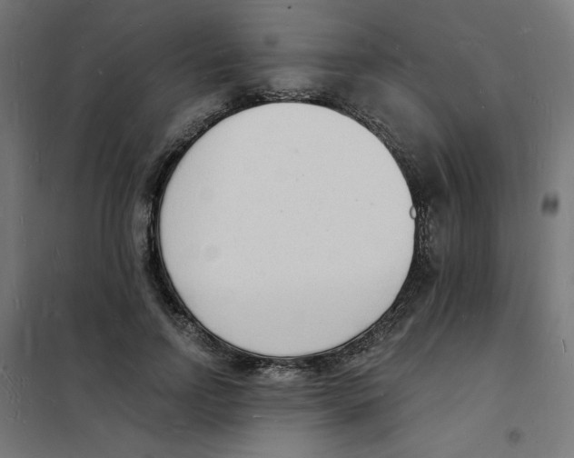 X0000101670742200808071044