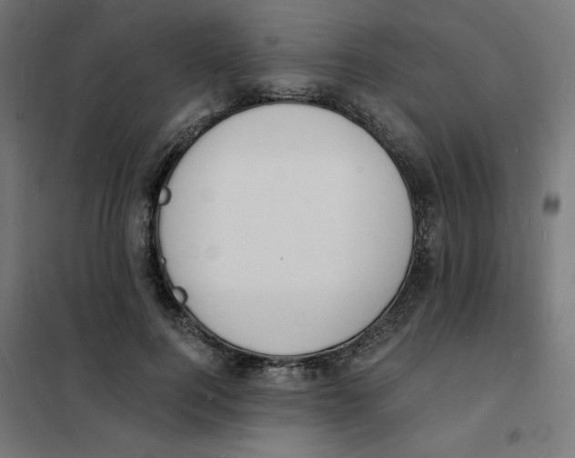 X0000101670744200808071044