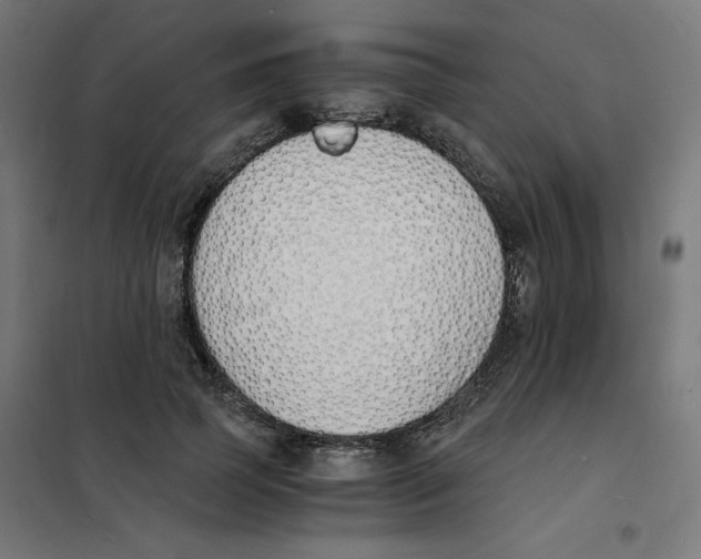 X0000101670745200808071044