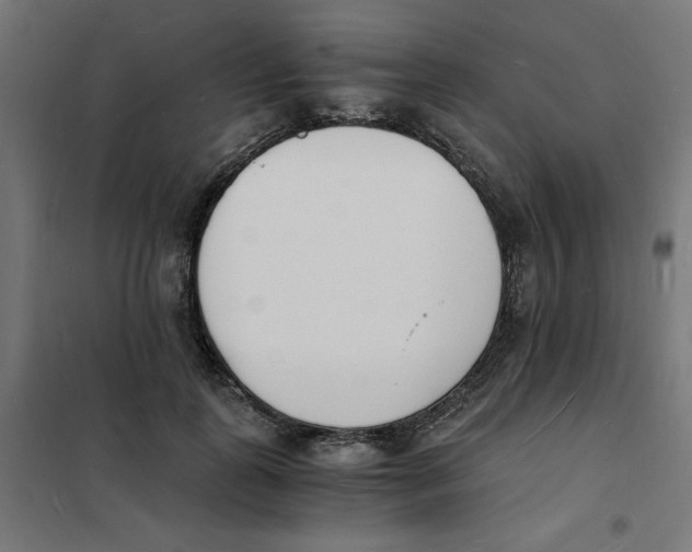 X0000101670747200808071044