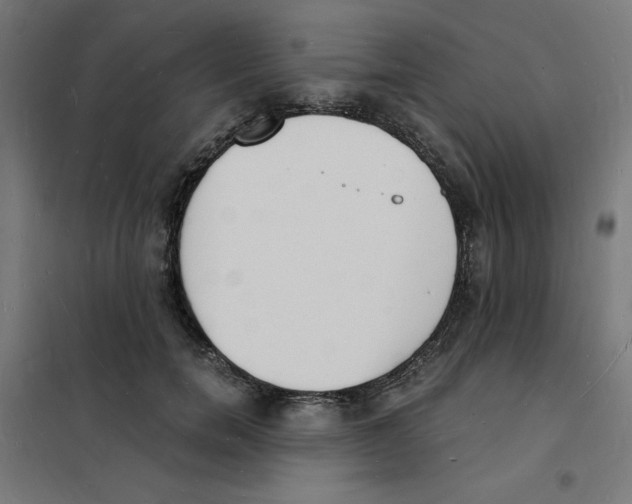 X0000101670750200808071045