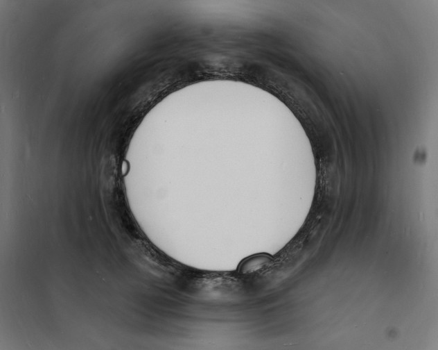 X0000101670752200808071045