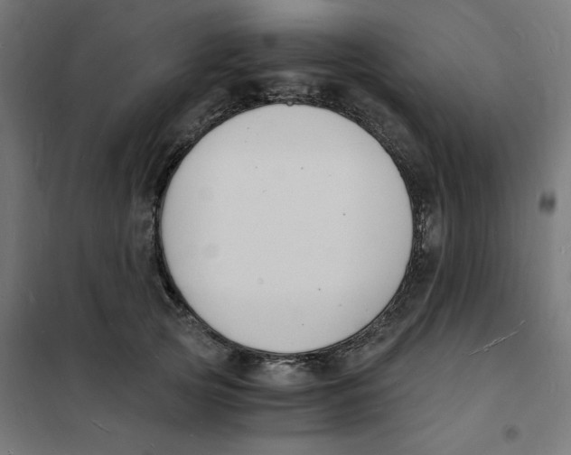 X0000101670753200808071045