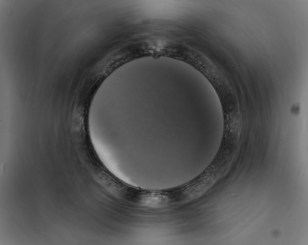 X0000101670754200808071045