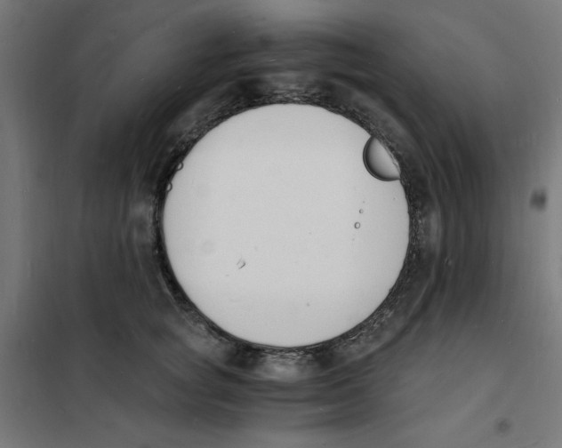 X0000101670757200808071045