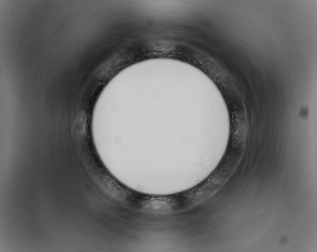 X0000101670758200808071045