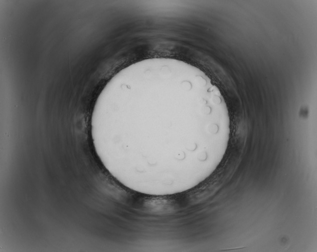 X0000101670759200808071045
