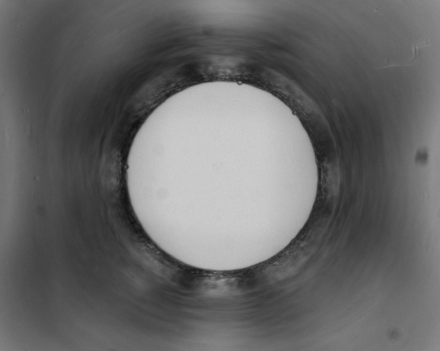 X0000101670760200808071045