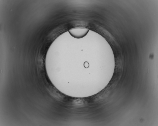 X0000101670761200808071045