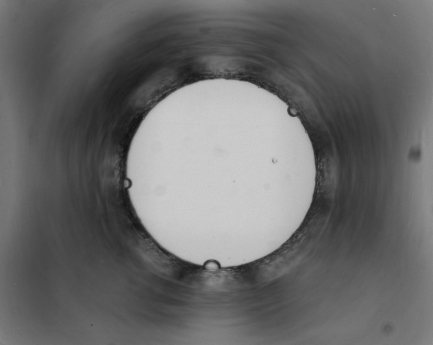 X0000101670762200808071045