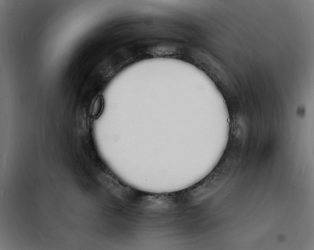 X0000101670763200808071045