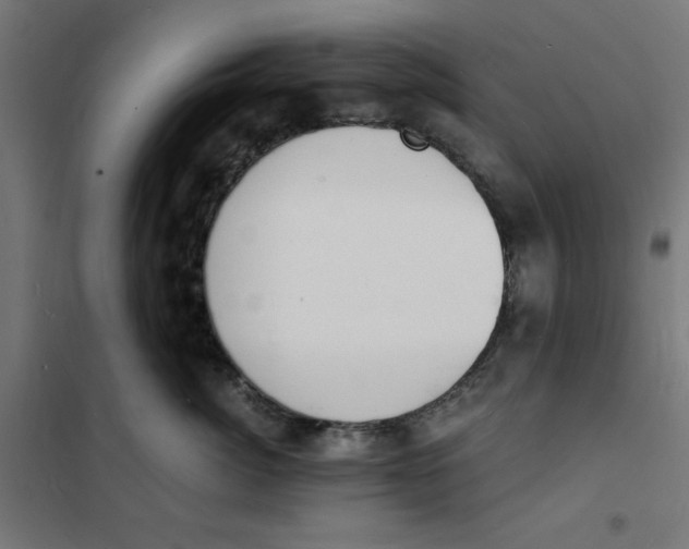 X0000101670764200808071045