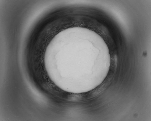 X0000101670765200808071045