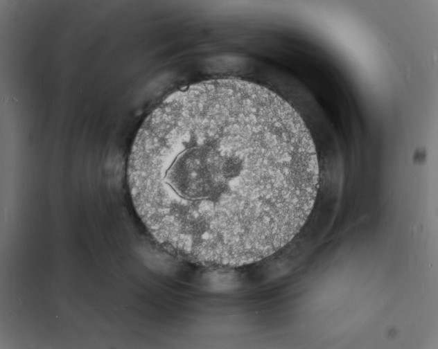 X0000101670767200808071045