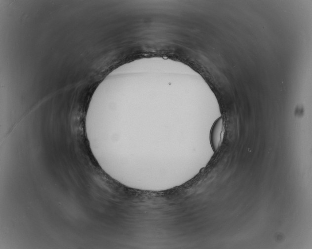 X0000101670770200808071044