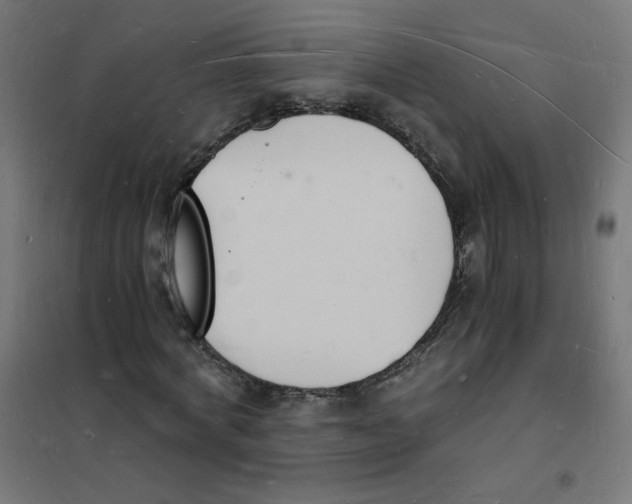 X0000101670772200808071044