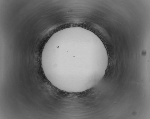 X0000101670773200808071044