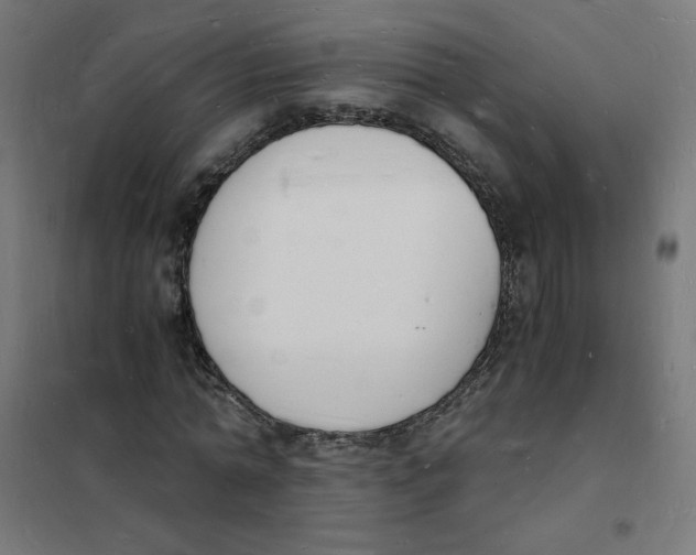 X0000101670774200808071044
