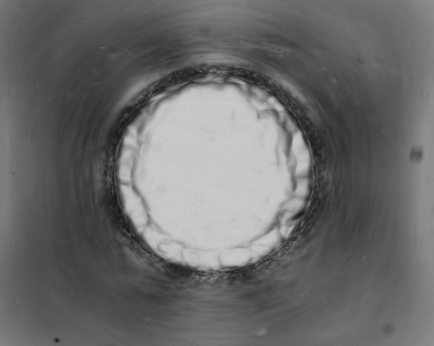 X0000101670775200808071044