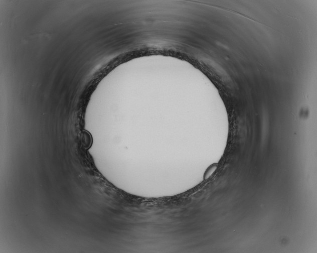 X0000101670776200808071044
