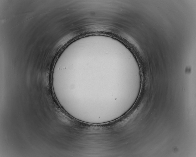 X0000101670777200808071044