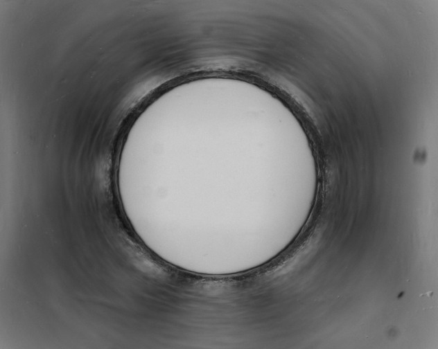 X0000101670778200808071044