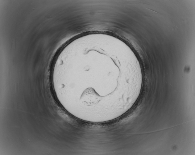X0000101670779200808071044
