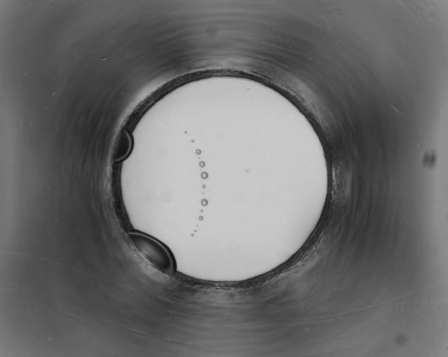 X0000101670780200808071044