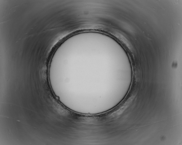 X0000101670781200808071044