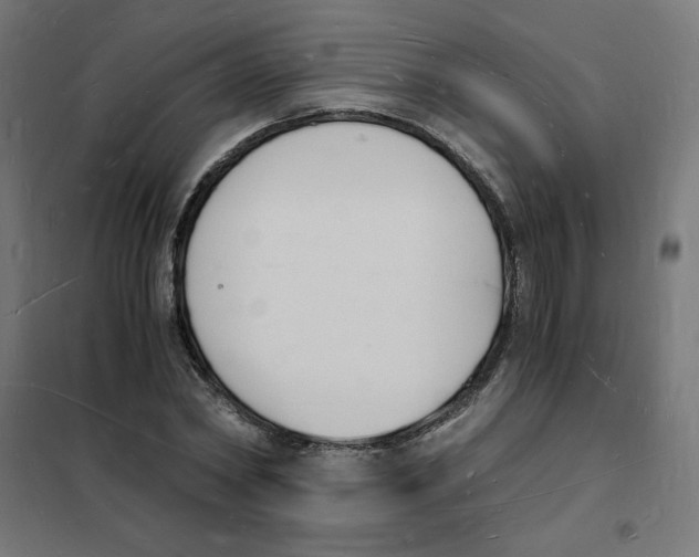 X0000101670782200808071044