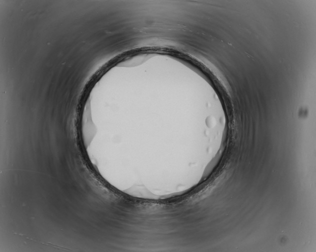 X0000101670783200808071044