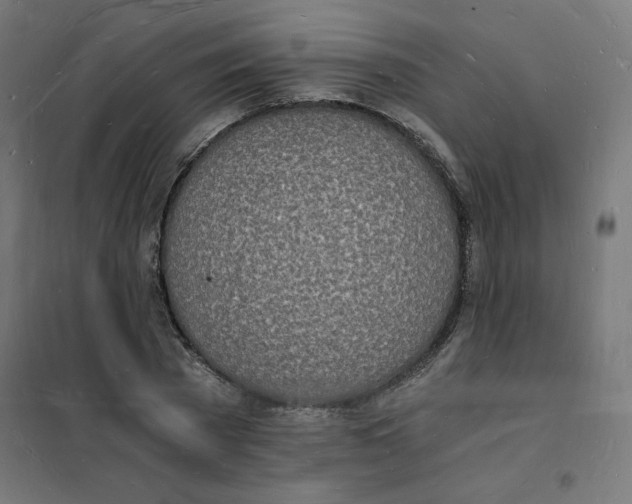 X0000101670785200808071044