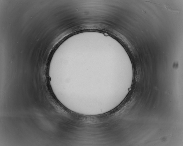 X0000101670786200808071044