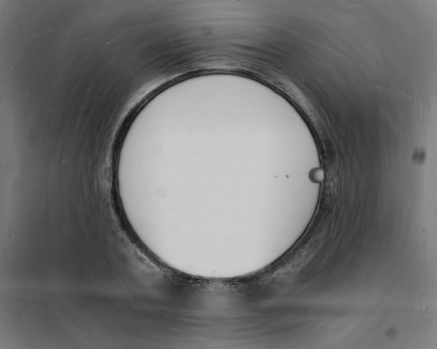 X0000101670787200808071044