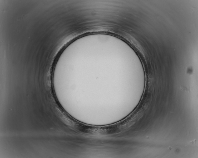 X0000101670789200808071044