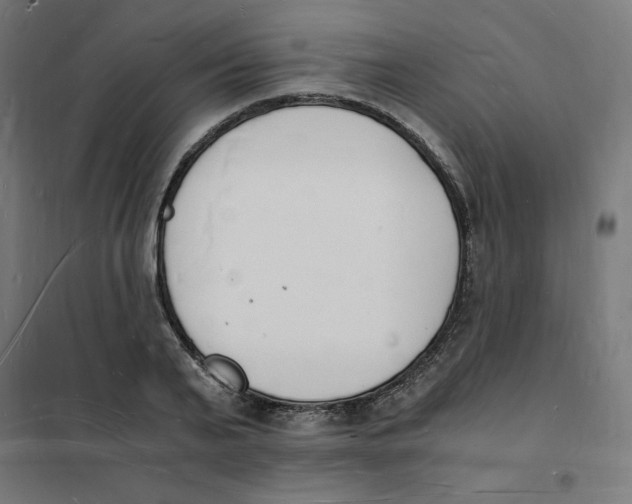 X0000101670791200808071044