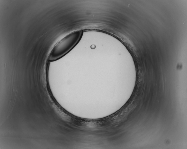 X0000101670792200808071044